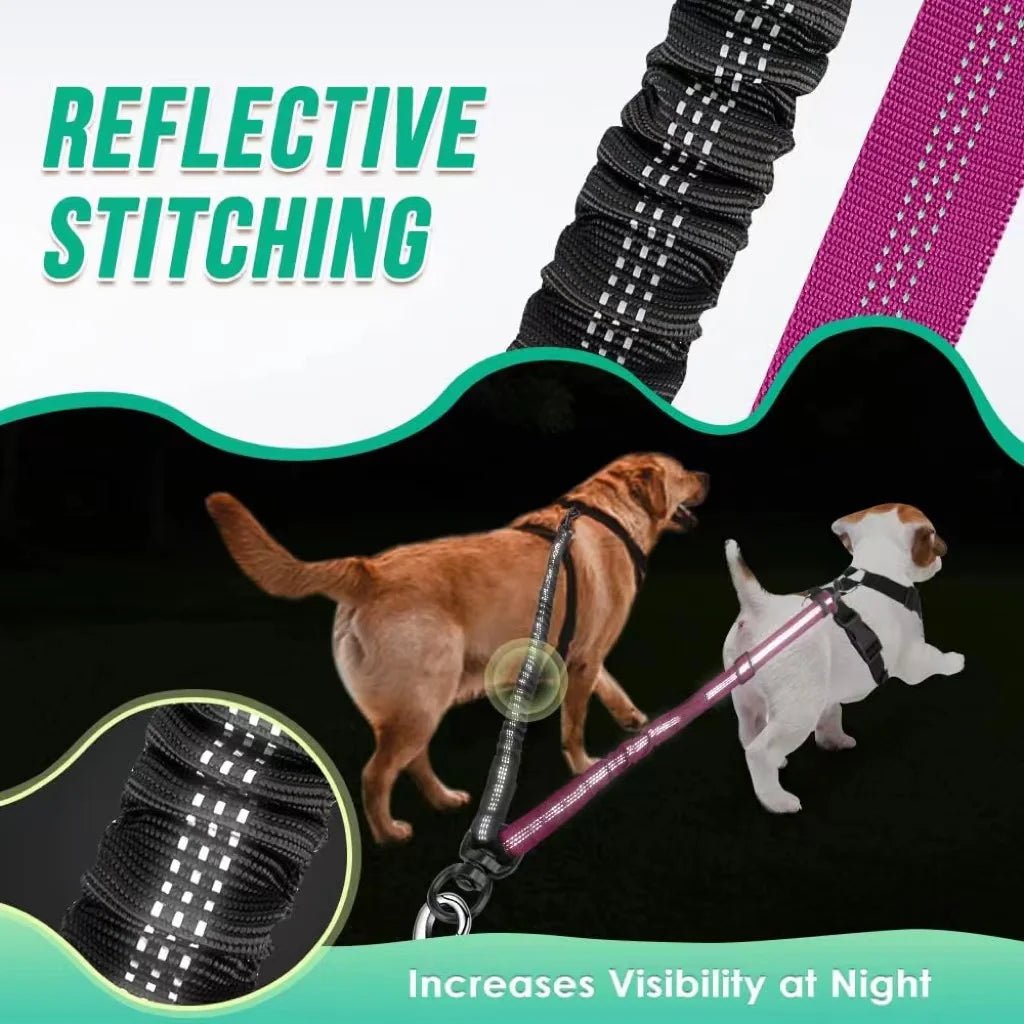 1.6ft Dual Dog Leash Attachment – Verstellbare Doppelleine mit Stoßdämpfer für kleine bis große Hunde - PetGlow