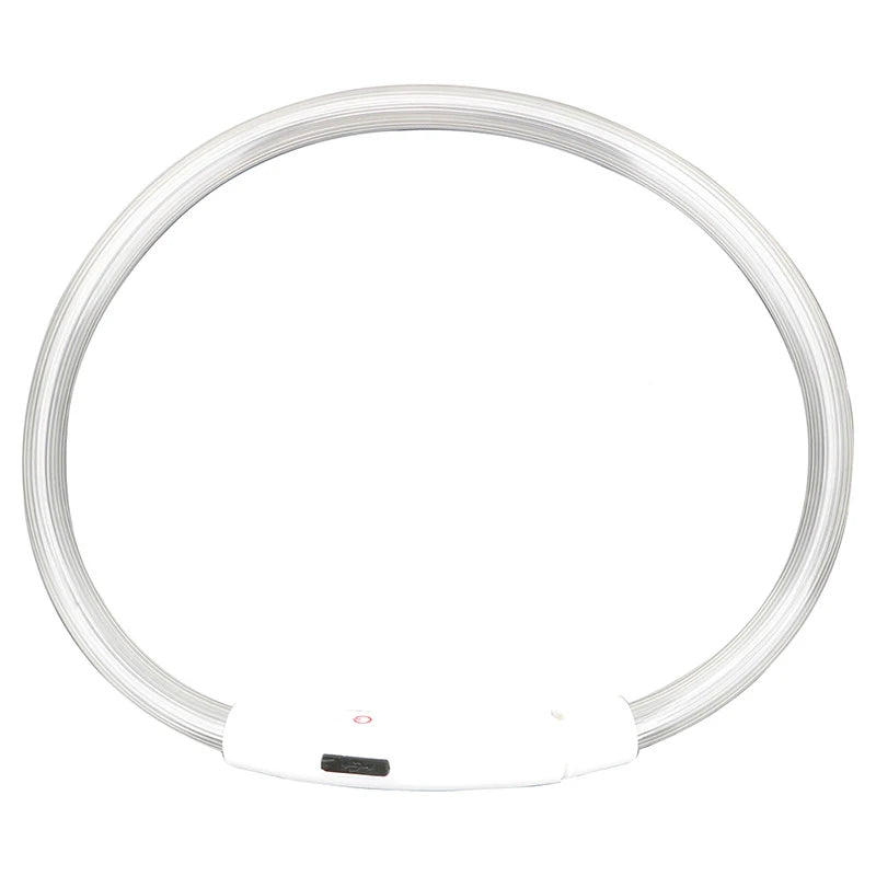 LED Hundehalsband - Sichere Spaziergänge im Dunkeln / USB - wiederaufladbar & wasserfest - PetGlow