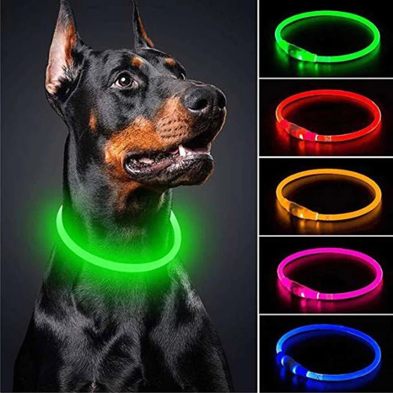 LED Hundehalsband - Sichere Spaziergänge im Dunkeln / USB - wiederaufladbar & wasserfest - PetGlow
