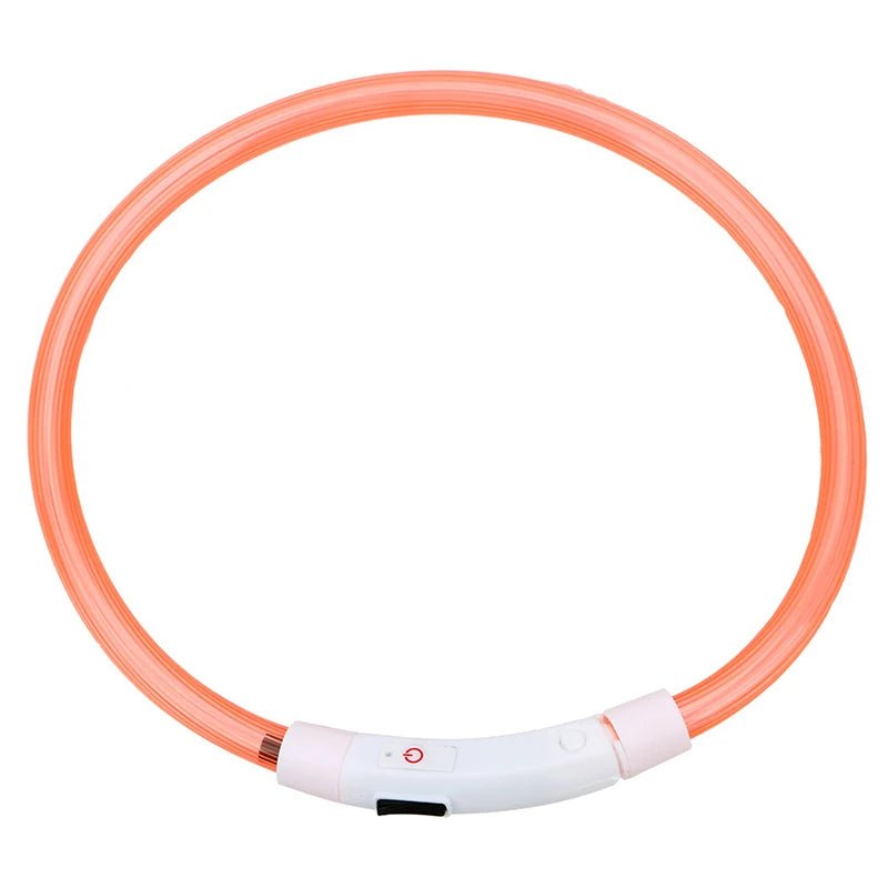 LED Hundehalsband - Sichere Spaziergänge im Dunkeln / USB - wiederaufladbar & wasserfest - PetGlow