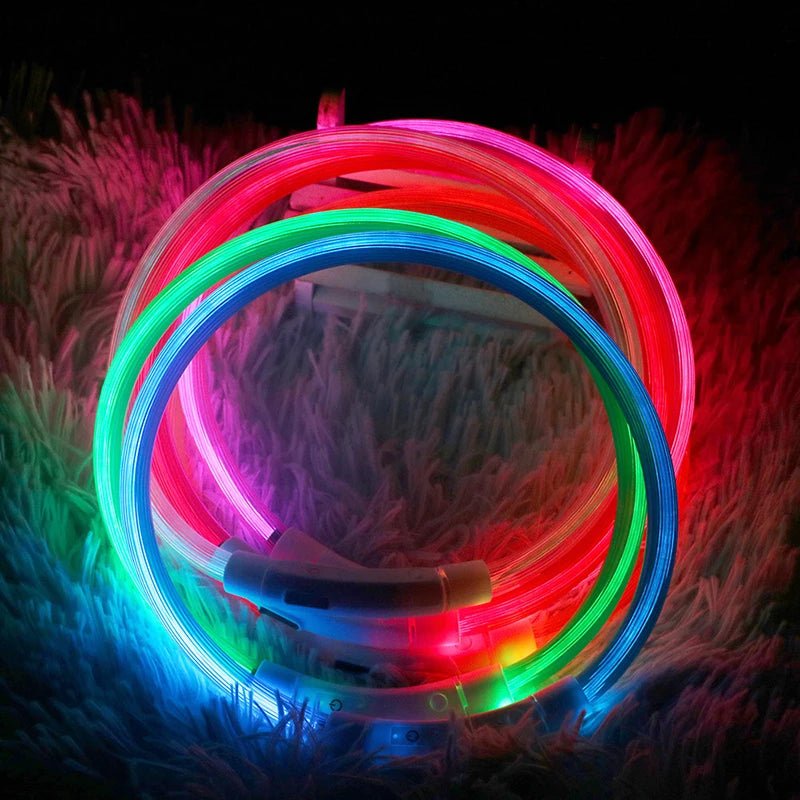 LED Hundehalsband - Sichere Spaziergänge im Dunkeln / USB - wiederaufladbar & wasserfest - PetGlow