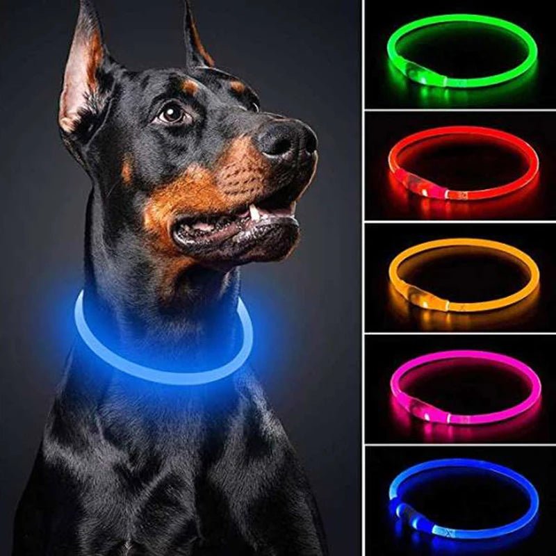 LED Hundehalsband - Sichere Spaziergänge im Dunkeln / USB - wiederaufladbar & wasserfest - PetGlow