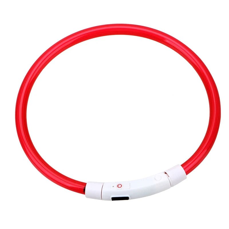 LED Hundehalsband - Sichere Spaziergänge im Dunkeln / USB - wiederaufladbar & wasserfest - PetGlow