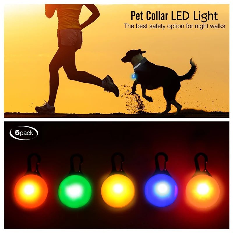 LED - Hundehalsband - Wiederaufladbare & Sicher Petglow - PetGlow