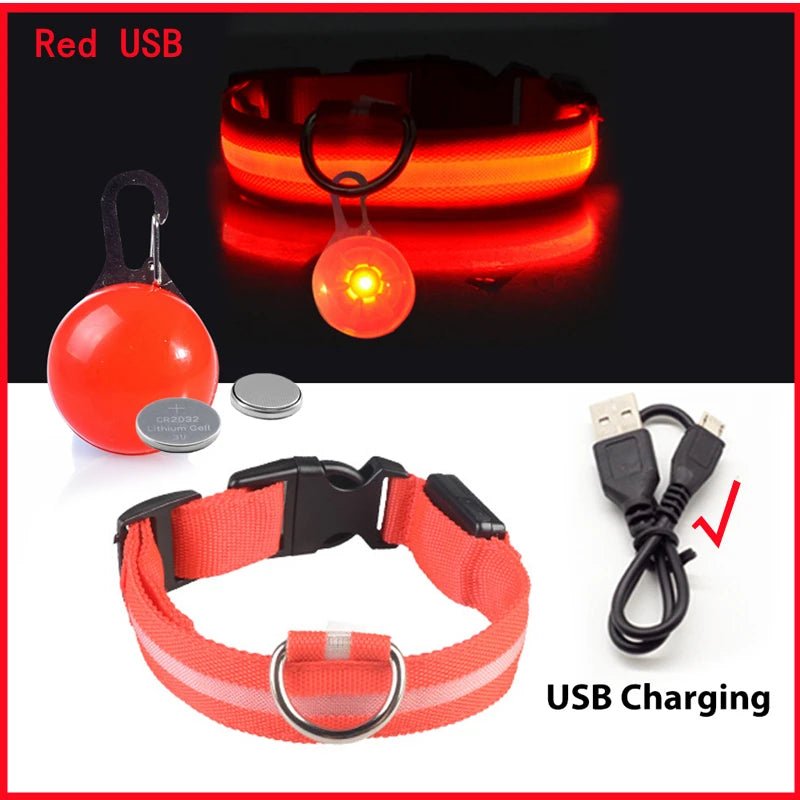 LED - Hundehalsband - Wiederaufladbare & Sicher Petglow - PetGlow