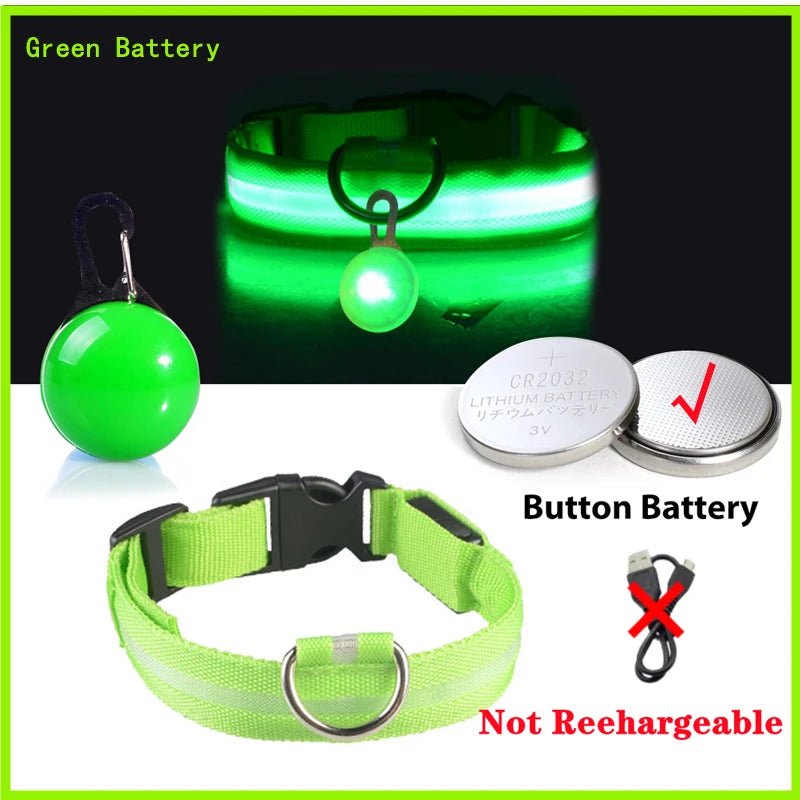 LED - Hundehalsband - Wiederaufladbare & Sicher Petglow - PetGlow