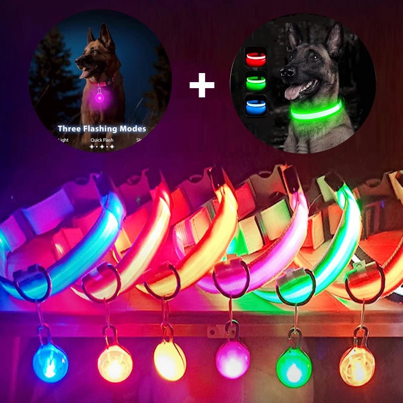 LED - Hundehalsband - Wiederaufladbare & Sicher Petglow - PetGlow