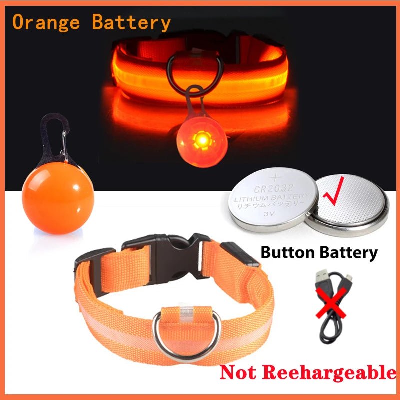 LED - Hundehalsband - Wiederaufladbare & Sicher Petglow - PetGlow