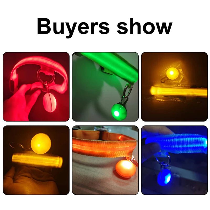 LED - Hundehalsband - Wiederaufladbare & Sicher Petglow - PetGlow