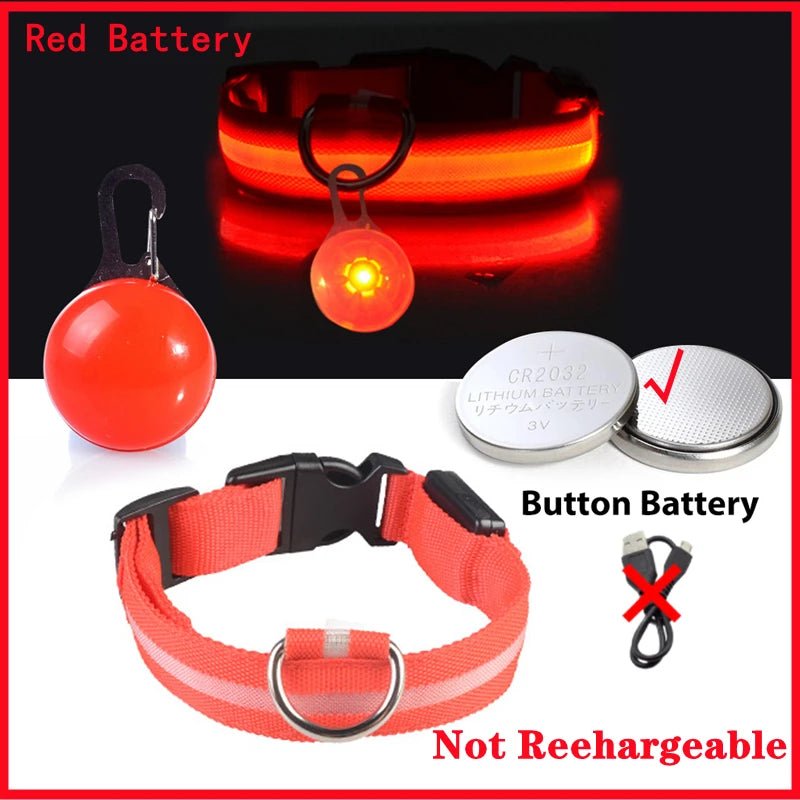 LED - Hundehalsband - Wiederaufladbare & Sicher Petglow - PetGlow