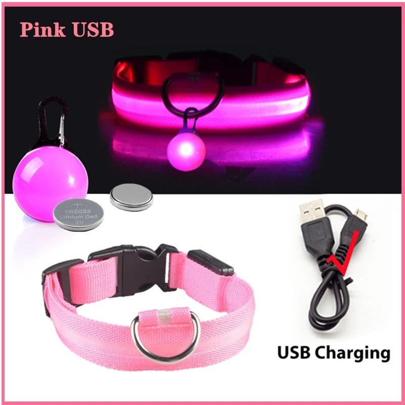 LED - Hundehalsband - Wiederaufladbare & Sicher Petglow - PetGlow
