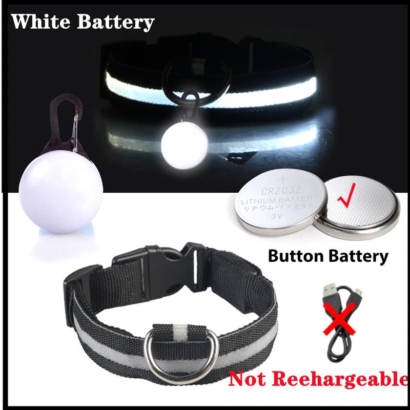 LED - Hundehalsband - Wiederaufladbare & Sicher Petglow - PetGlow