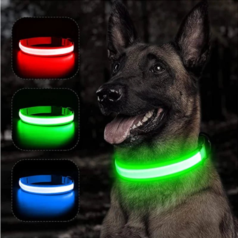 LED - Hundehalsband - Wiederaufladbare & Sicher Petglow - PetGlow