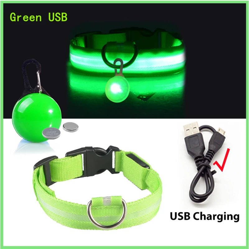 LED - Hundehalsband - Wiederaufladbare & Sicher Petglow - PetGlow